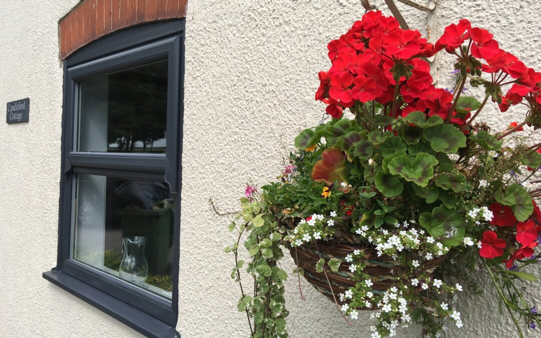 Three types of replacement windows and doors that will transform your home